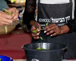 תולשים עלים בסדנה