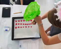 מזלפת לתבנית