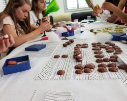 הכנת מקרונים